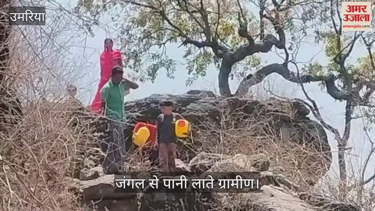 Umaria News thirsty Majhauli screams water of life is being carried from jungles