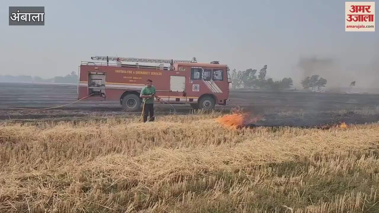 Fire broke out in wheat fields in Ambala, several acres burnt to ashes