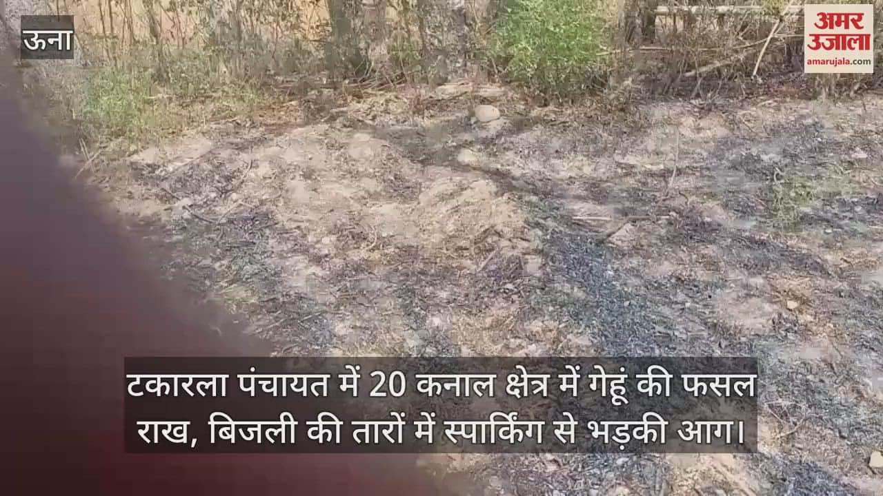 Wheat crop turned to ashes in 20 Kanal area in Takarla Panchayat, fire broke out due to sparking in electric wires