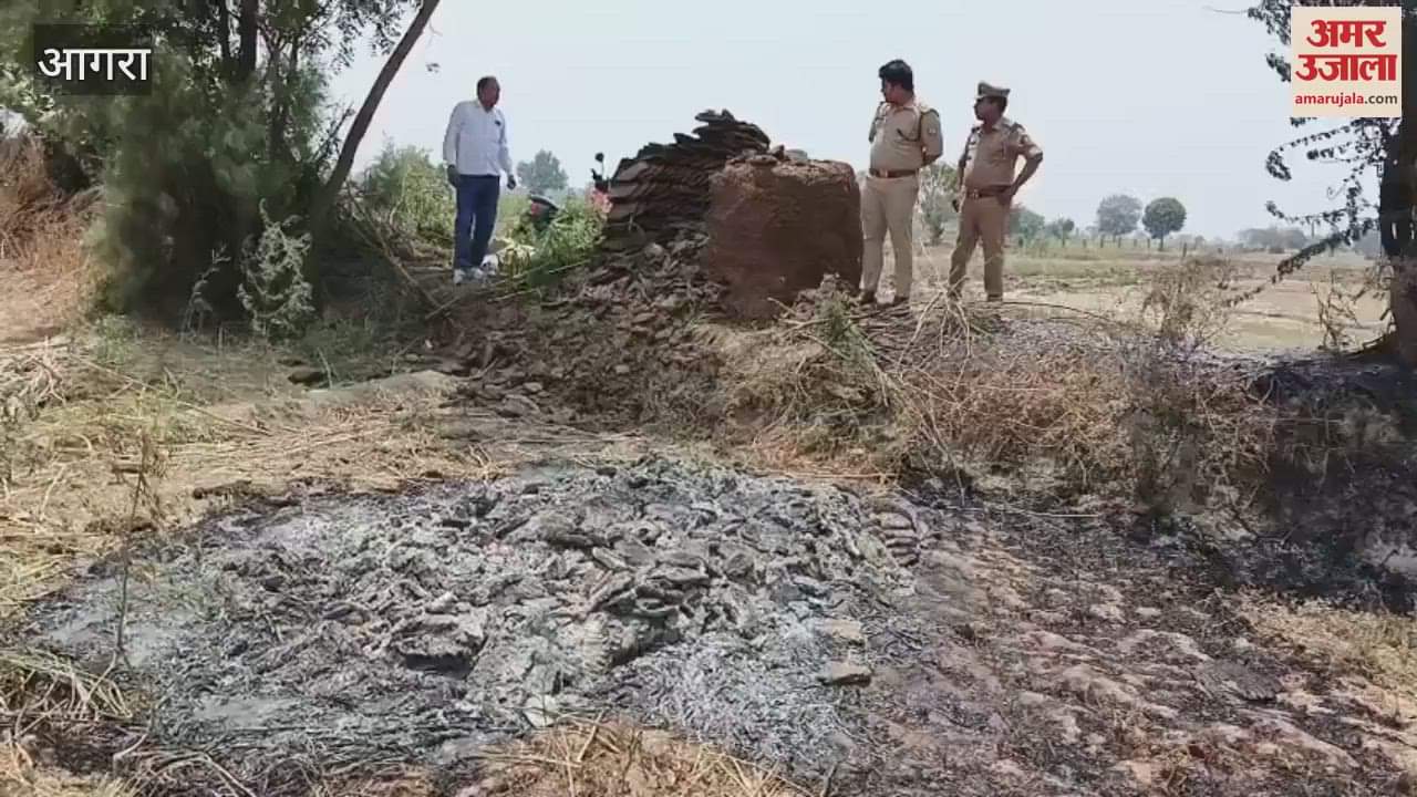 Bloody conflict between three brothers killed the middle one then did such brutality with the dead body