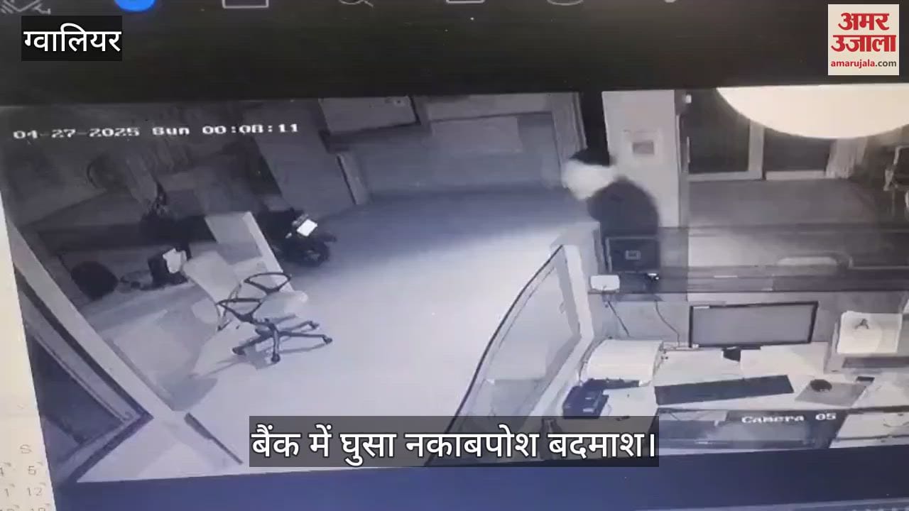 When he did not find money, the thief broke into the bank's strong room and took away 734 cheques