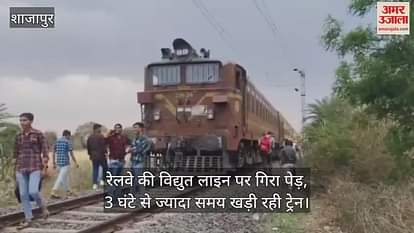 Shajapur Due to strong wind and storm an acacia tree fell on electric rail line traffic remained closed