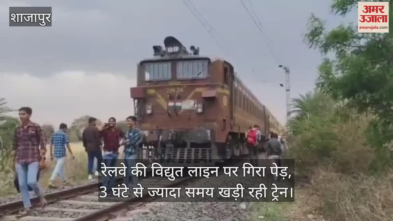 Shajapur Due to strong wind and storm an acacia tree fell on electric rail line traffic remained closed