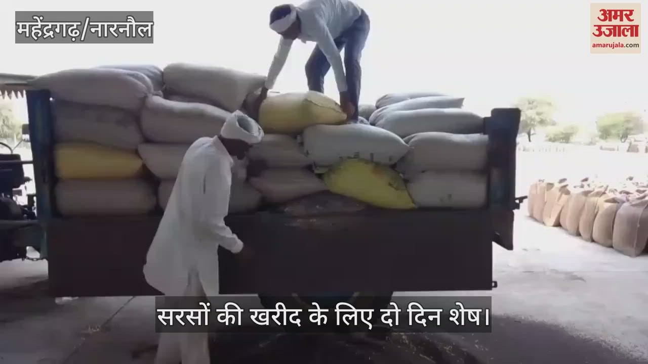 Purchase of mustard in Ateli Mandi