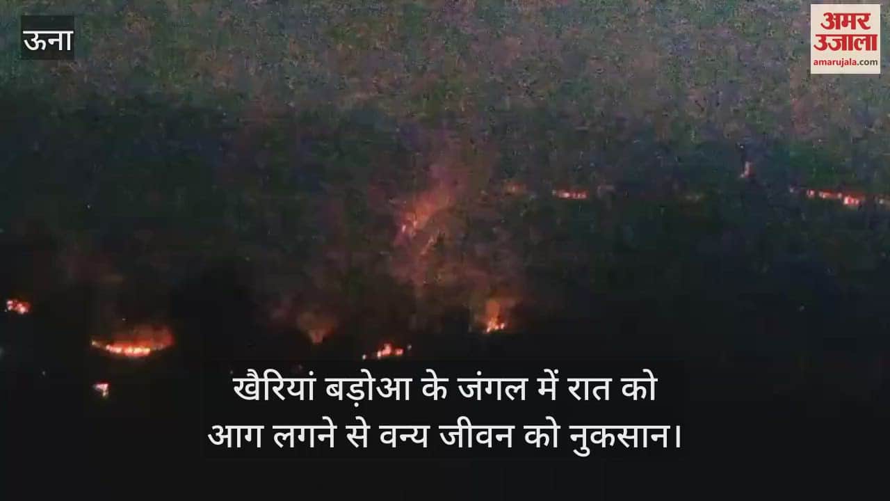 Wildlife is harmed due to fire at night in Khairian Baroa forest