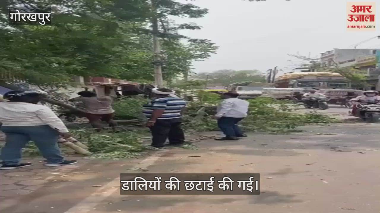 Bushes hanging on power lines were cut down in Gorakhpur