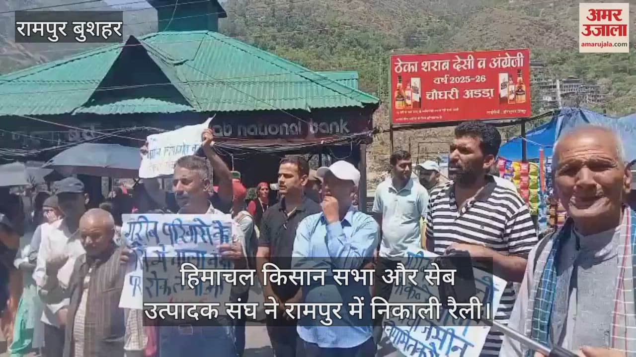 Himachal Kisan Sabha and Apple Producers Association held a rally in Rampur