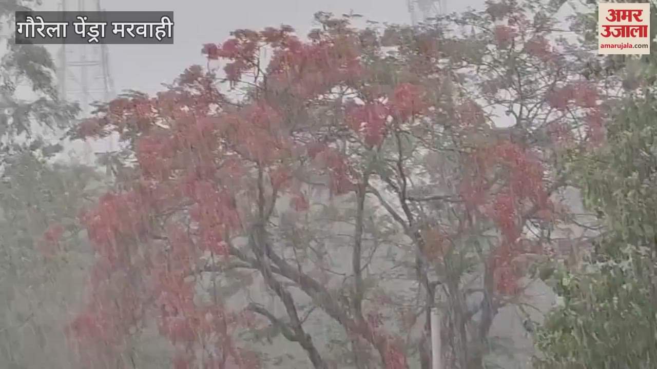 Heavy rain and hailstorm in Gaurela Pendra Marwahi