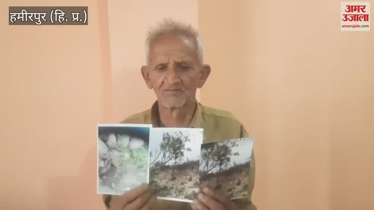 Hamirpur Fruit trees are flourishing on the land the land is barren in government files
