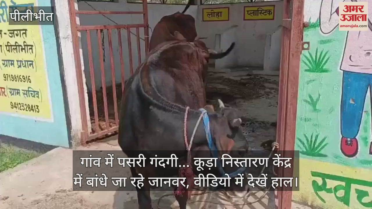 Dirt spread in the village Animals are being tied in the garbage disposal center