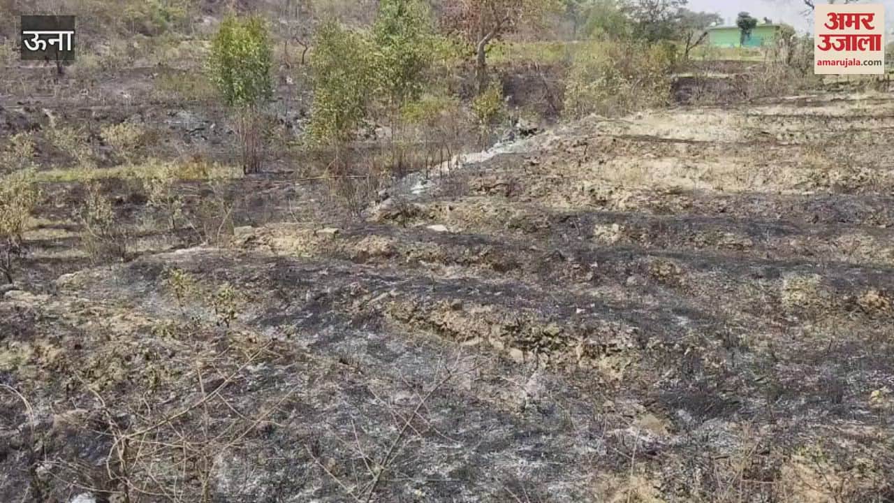 Una Forest fire swallowed the dreams of farmers 1725 guava and 1500 pomegranate plants of Shiva Project burnt to ashes