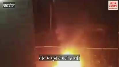 Shahdol News: Wild elephants wreaked havoc on many houses in Malachuha and Shahpur area