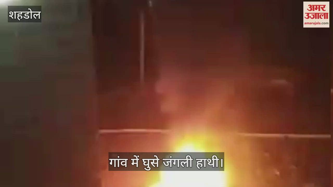 Shahdol News: Wild elephants wreaked havoc on many houses in Malachuha and Shahpur area