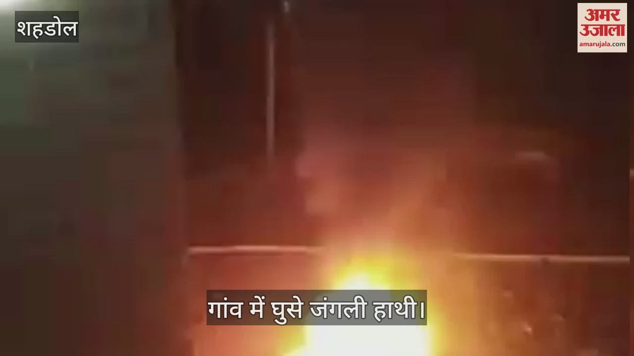 Shahdol News: Wild elephants wreaked havoc on many houses in Malachuha and Shahpur area
