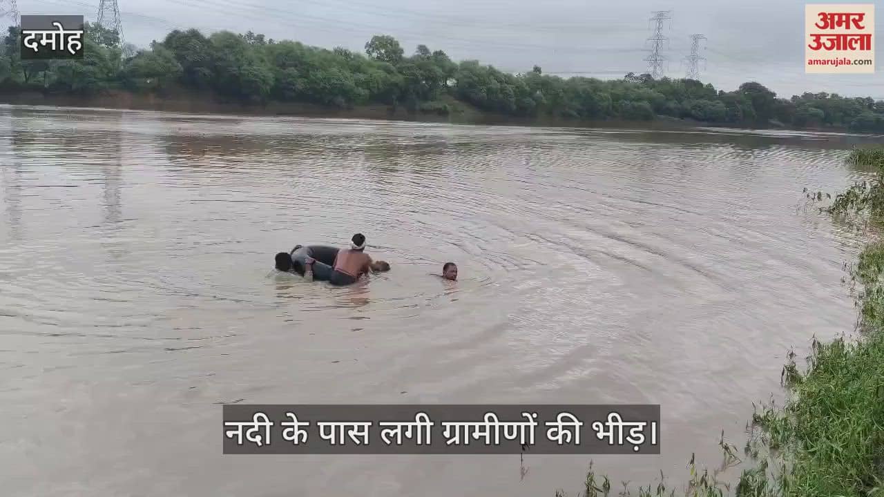 Damoh News: Crocodile dragged away a woman who went to bathe in the river