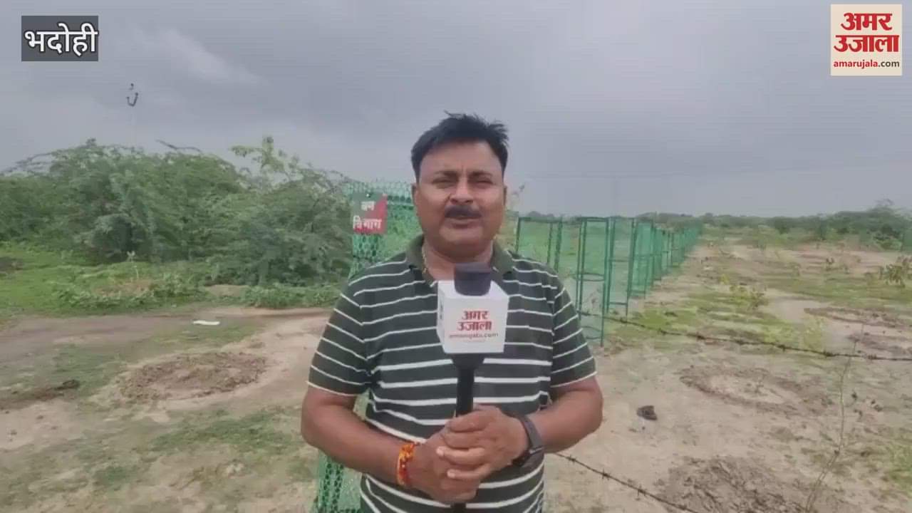 Safety of plants is at mercy of God some plants are dry and some are eaten by cattle