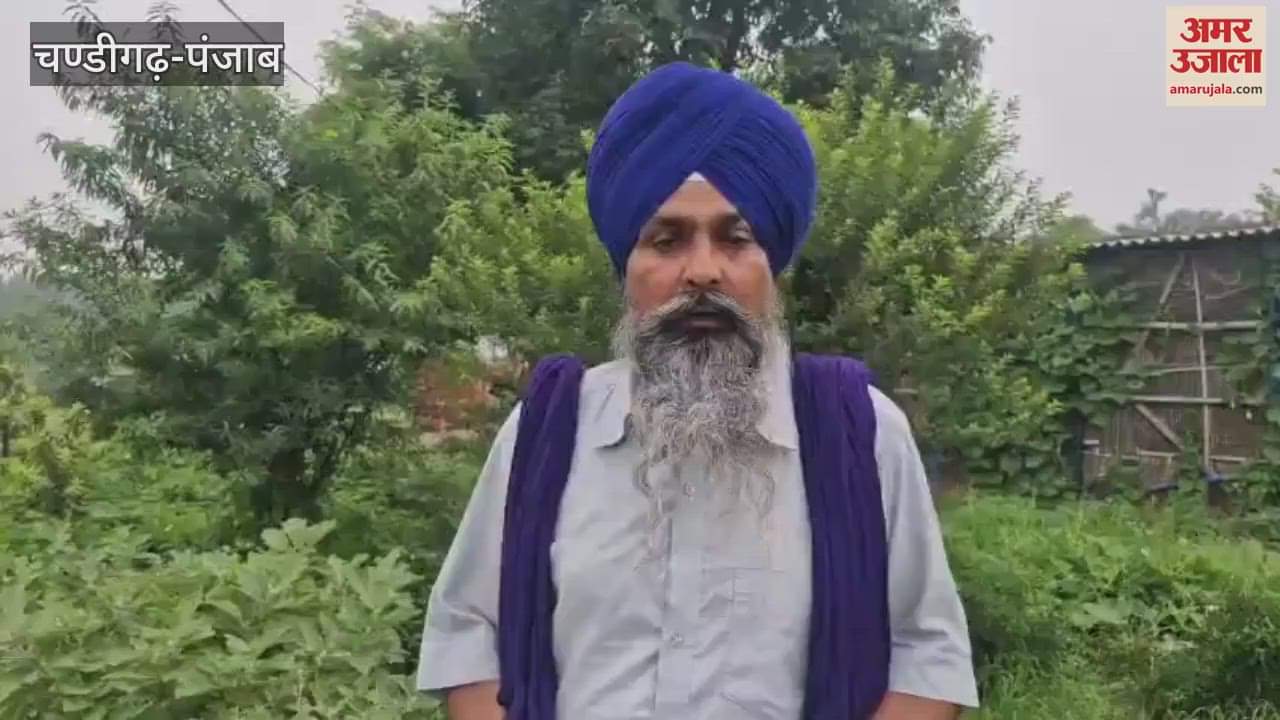 Farmers' groups to protest against privatization of electricity in Punjab tomorrow