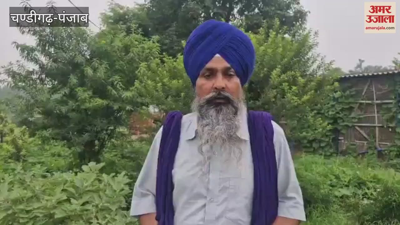 Farmers' groups to protest against privatization of electricity in Punjab tomorrow