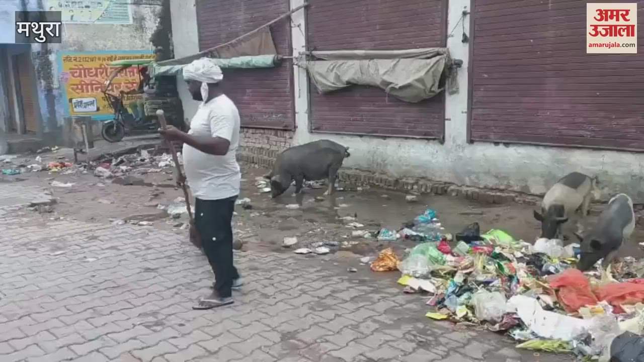 sanitary workers returned to work after four days