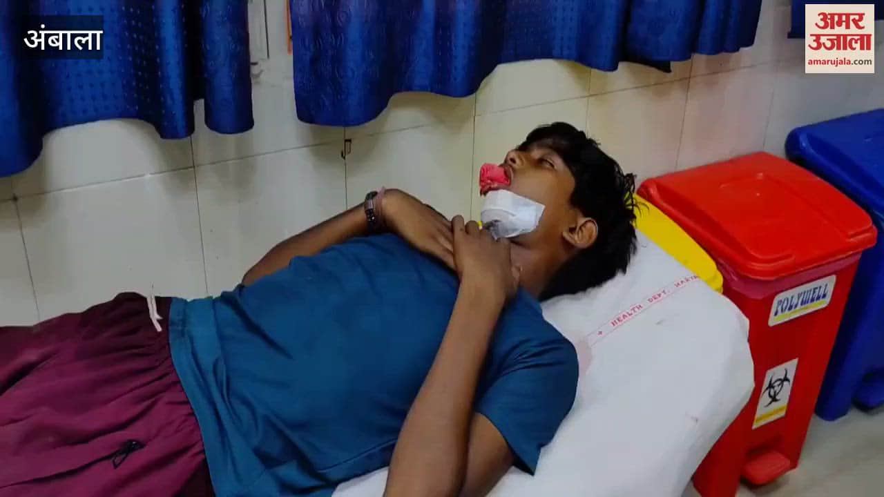 teenager fell from a tree while plucking berries in Ambala, referred to Chandigarh