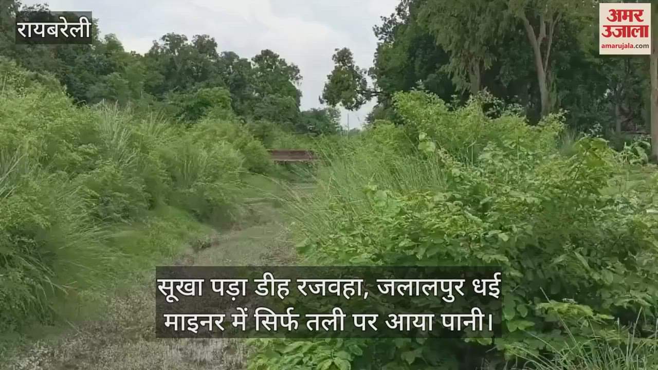 सूखा पड़ा डीह रजवहा, जलालपुर धई माइनर में सिर्फ तली पर आया पानी; धान रोपाई का काम प्रवाभित