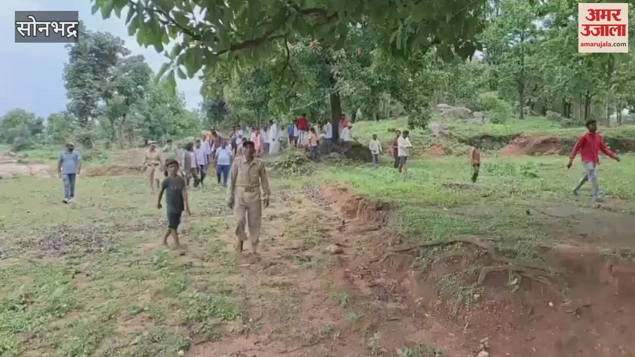 Four goats died in an attack by dangerous animal in Sonbhadra