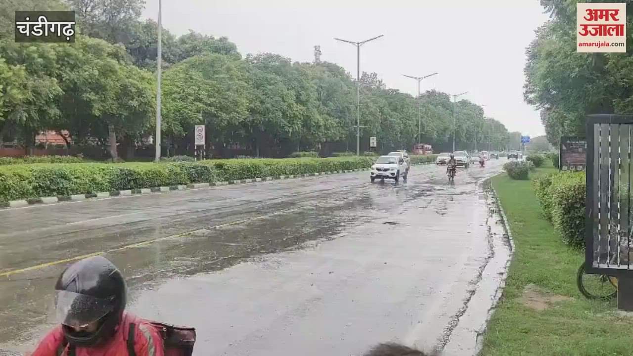 Rain in Chandigarh