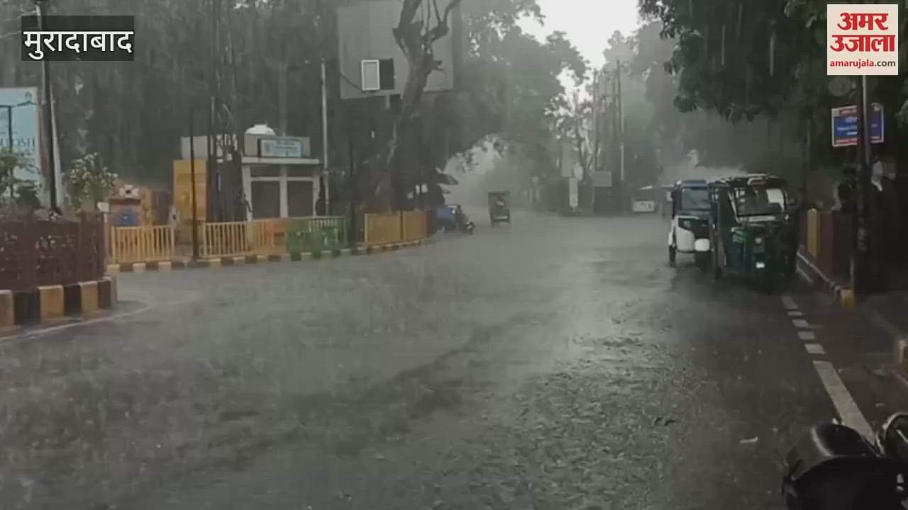 Light rain caused waterlogging in many places, Municipal Commissioner inspected many places