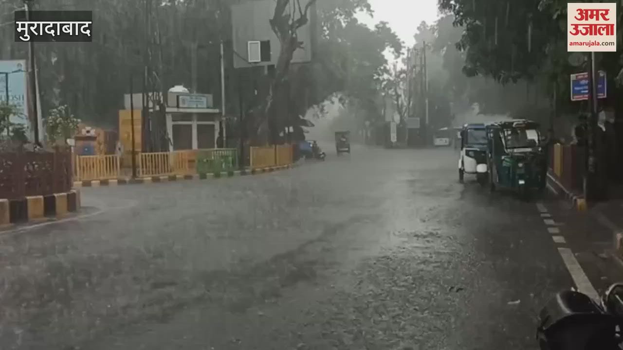 Light rain caused waterlogging in many places, Municipal Commissioner inspected many places