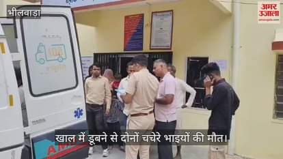 Bhilwara News: Cousin brothers died due to drowning in rain water, both had gone out to graze goats