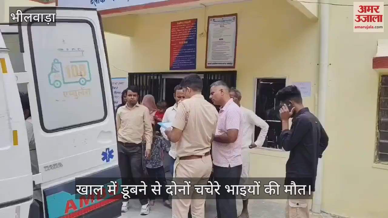 Bhilwara News: Cousin brothers died due to drowning in rain water, both had gone out to graze goats