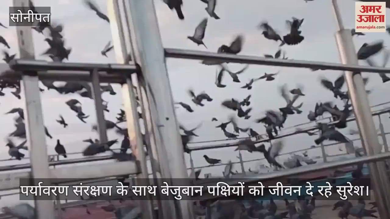 Suresh giving his life to birds and environment