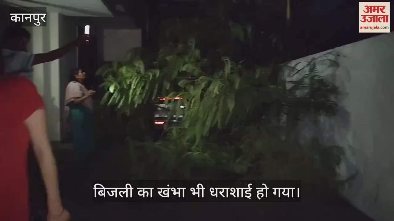 कानपुर में घर पर गिरा पेड़, बिजली के तार-खंभे भी टूटकर गिरे; आवागमन बाधित