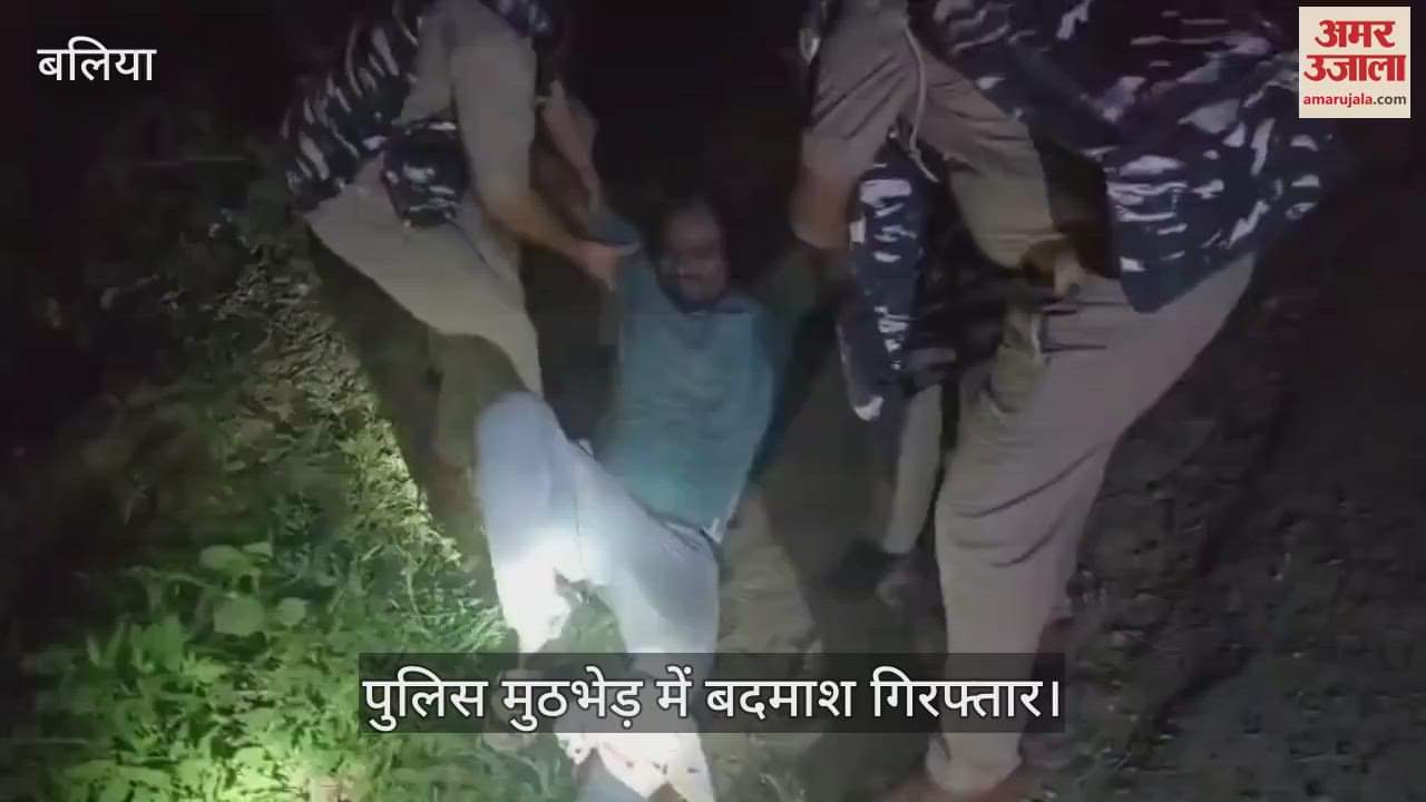 Cow smuggler arrested after shot in leg in encounter partner absconding in ballia