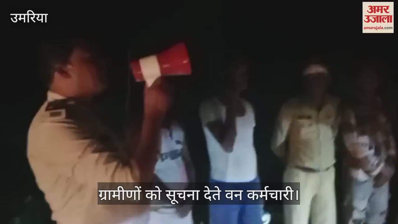 Elephant terror increasing in Umaria, team reached Ghunghuti area