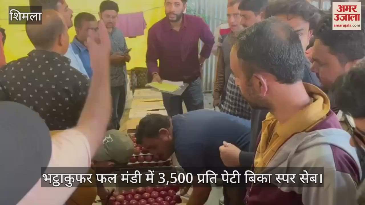Spur apples sold at Rs 3,500 per box in Bhattakufar fruit market