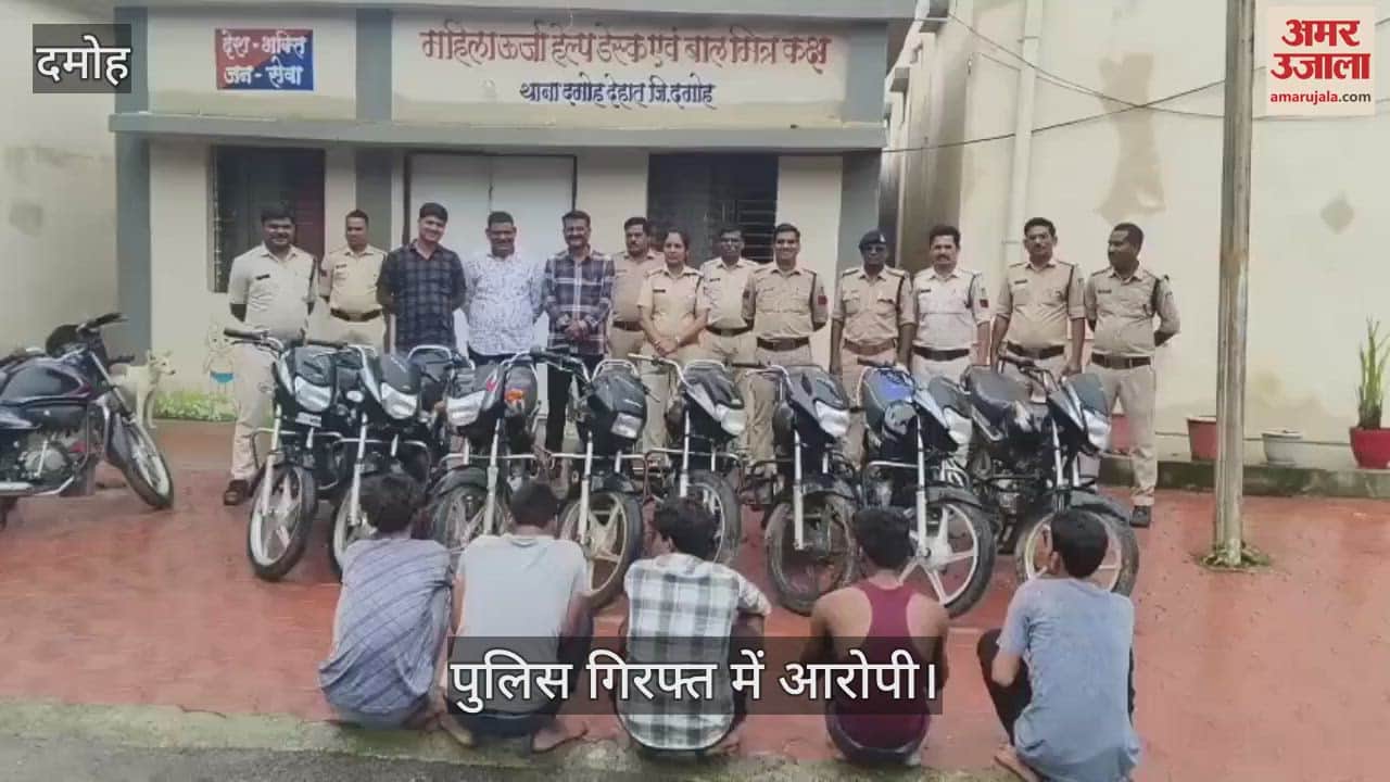 Police caught the gang that committed 13 thefts