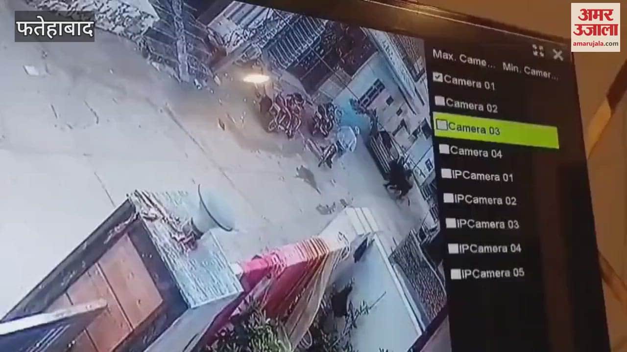 Bulls attacked an old man who was going to feed bread to a cow on Damkora Road in Tohana, Fatehabad. He was unconscious and admitted to hospital.