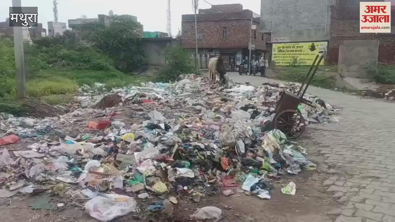 contract sanitation workers strike