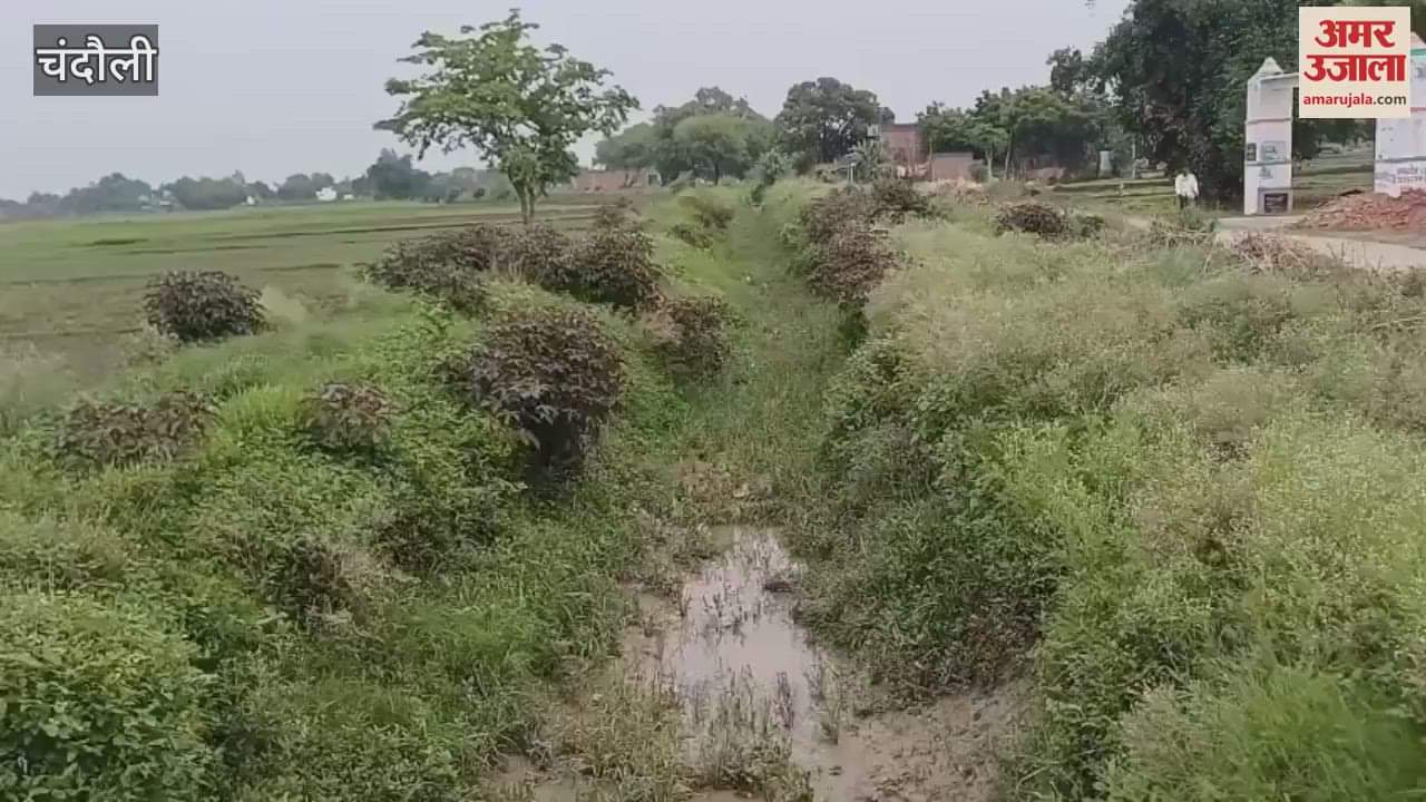 Farmers are angry due to water not being released in canal paddy cultivation in danger