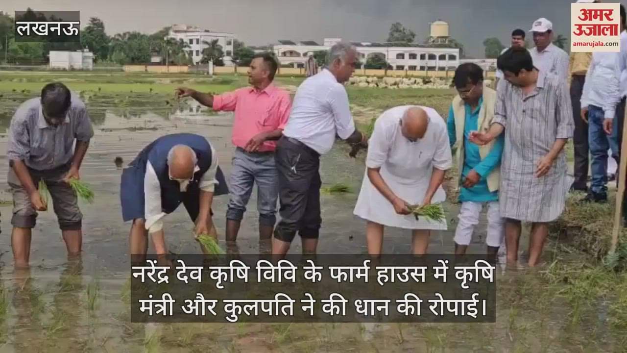 नरेंद्र देव कृषि विवि के फार्म हाउस में कृषि मंत्री और कुलपति ने की धान की रोपाई