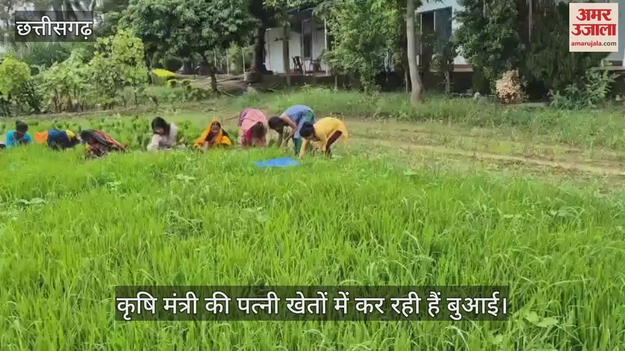 Agriculture Minister Ram Vichar Netam's wife is sowing in the fields video goes viral