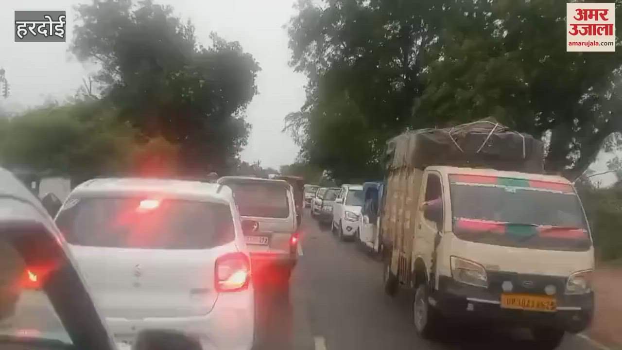 Traffic disrupted due to falling of trees in Hardoi