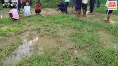 Tiger kills farmer in Pilibhit