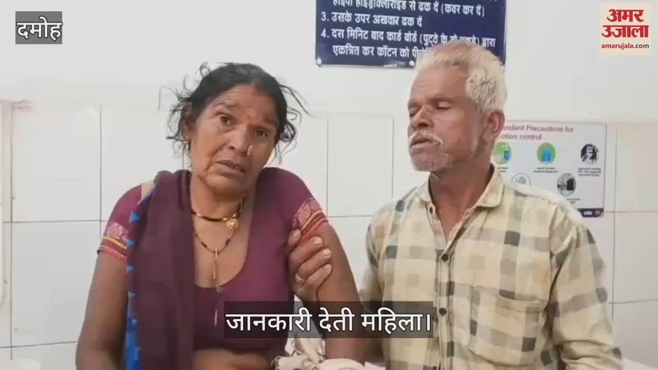 Damoh News Son Saves Mother From Crocodile Attack While She Was Washing Paddy In Canal