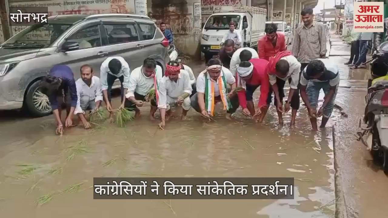 Sonbhadra Congressmen protested by planting paddy on water-filled road