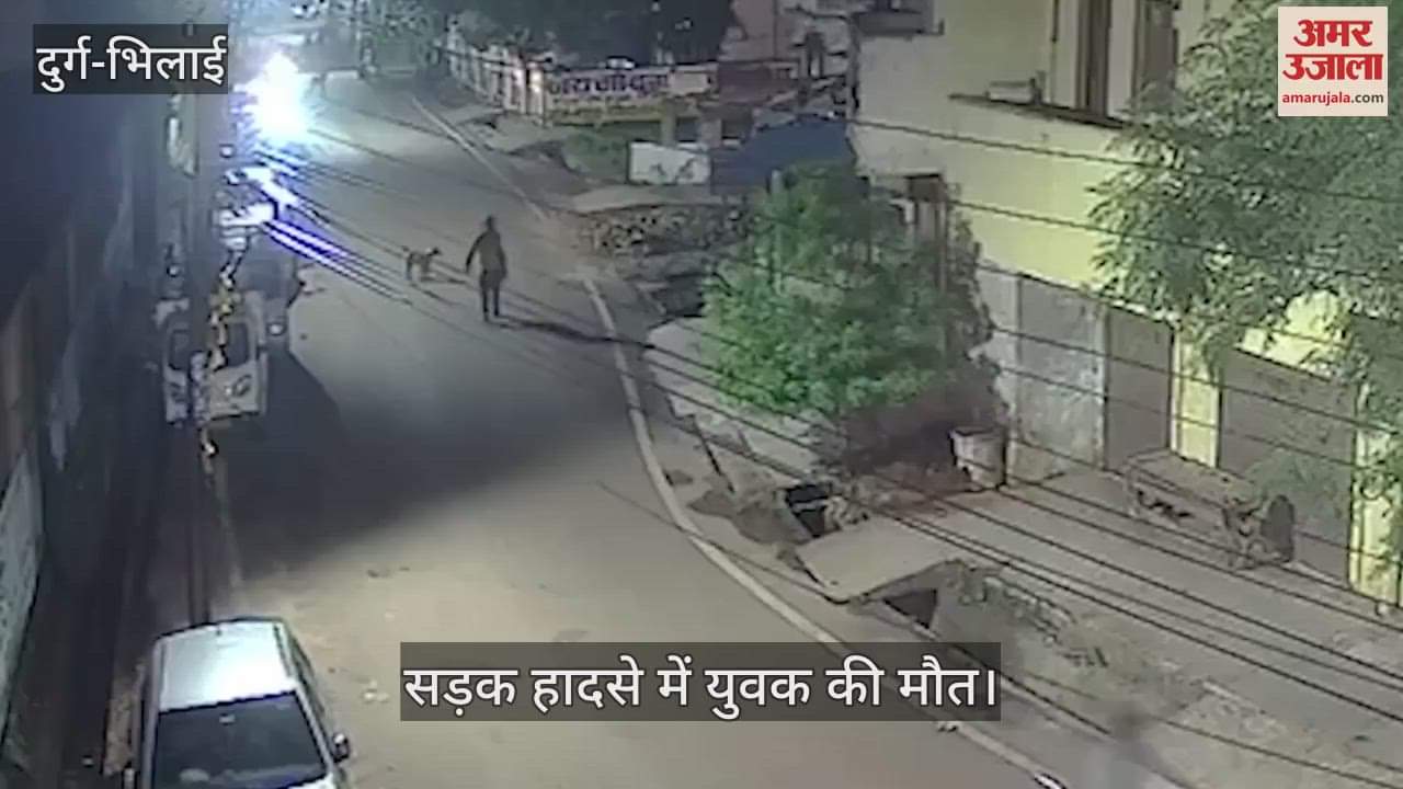 One person died while trying to save a dog in Durg another is in critical condition