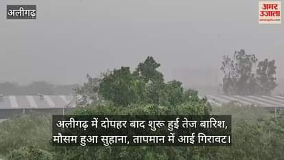 अलीगढ़ में दोपहर बाद शुरू हुई तेज बारिश, मौसम हुआ सुहाना, तापमान में आई गिरावट