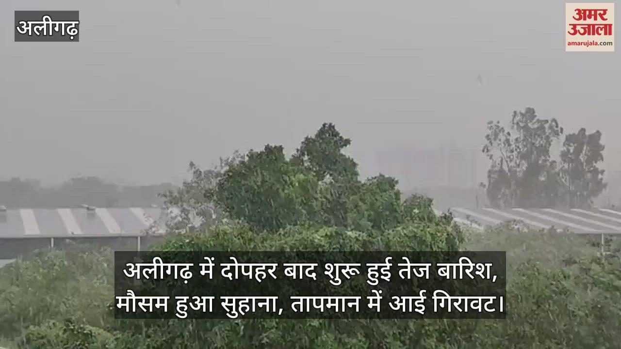 अलीगढ़ में दोपहर बाद शुरू हुई तेज बारिश, मौसम हुआ सुहाना, तापमान में आई गिरावट