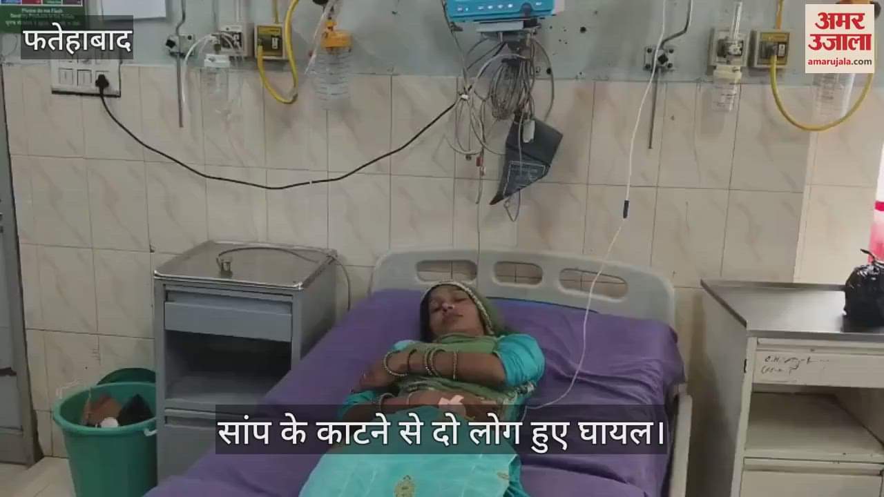 Snake bite cases in Fatehabad